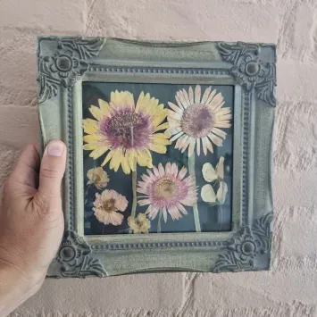 Gerbera2