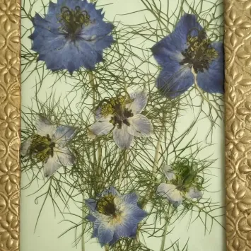 juffertje detail